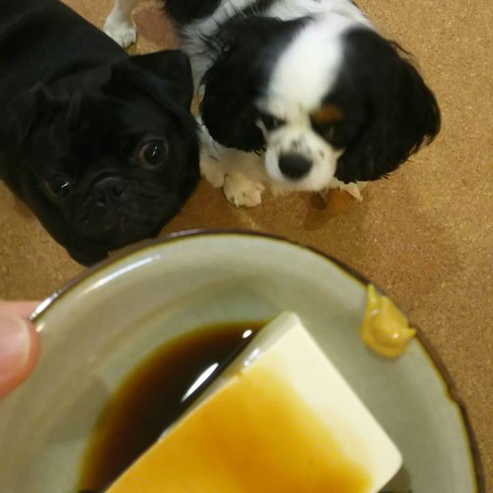 A4e9916a da7a 4a5d ac9c f9caba8c0d83 1532082049229