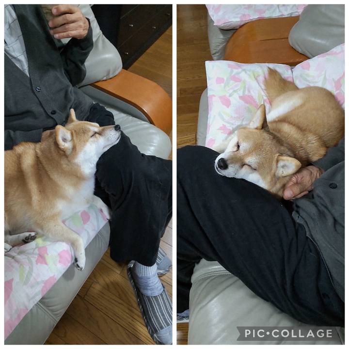 A4e9b188 c7b9 480a 977d 98848606864a 1762251022853