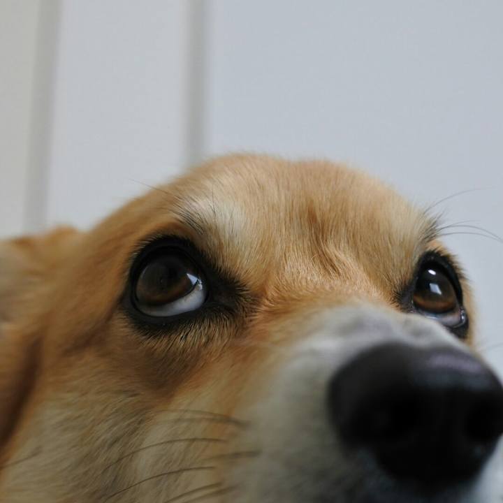 A4e9b360 ec8c 4396 b89c 177634c80b8d 1521537183510