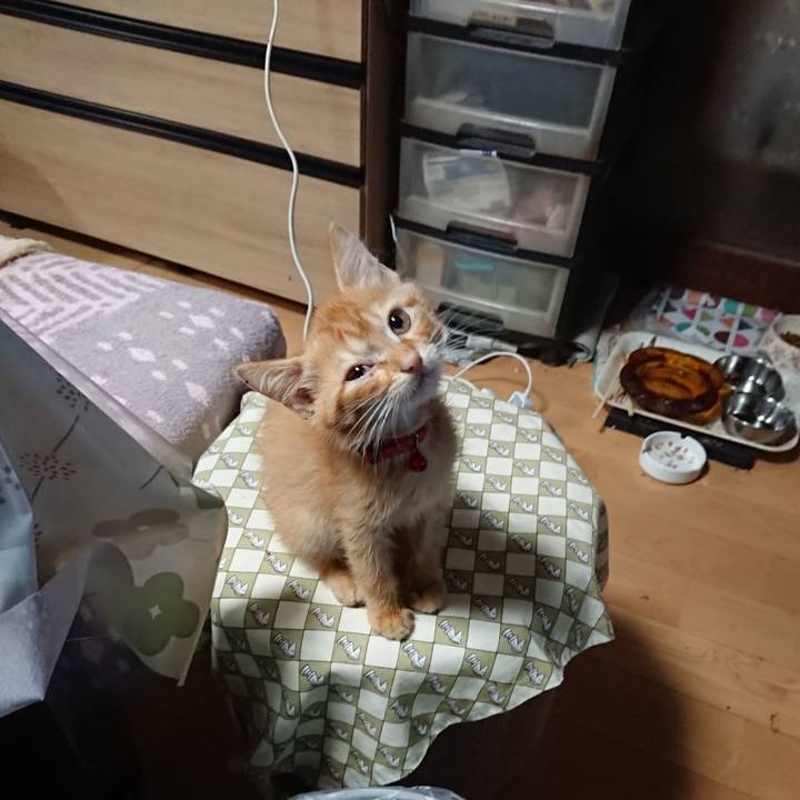 A4e9cbee f52b 4d9c bc89 c6b101c7ac5f 1628843465574