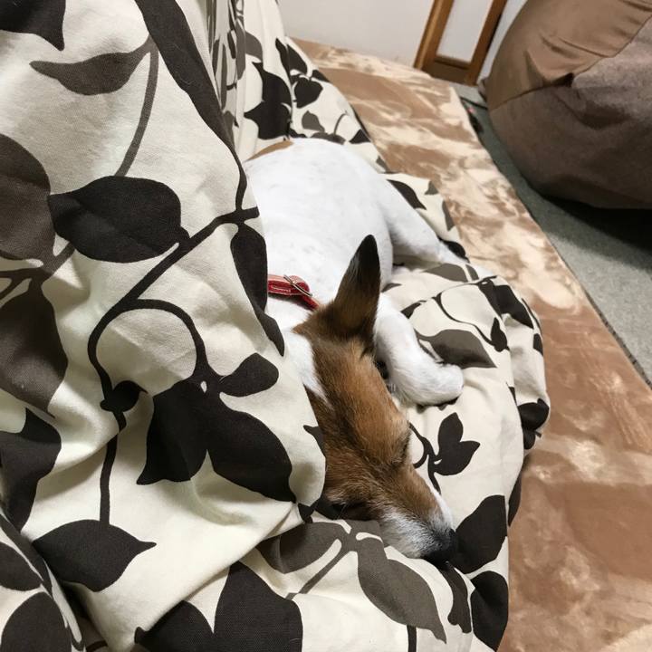 A4ea0957 1c10 470f ac84 e4e99cb509fb 1513076330962