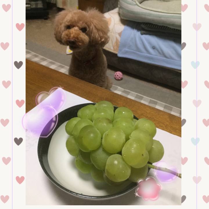 A4ea6c2f 8a23 429a 9d2d 0ee21ec28af9 1537009095506