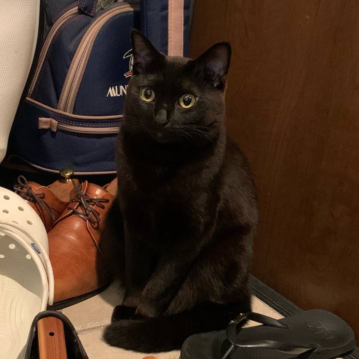 A4eaa367 dec0 440f 9d8e 79ac3fd2ce4d 1589727120496