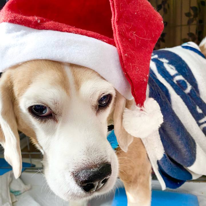 A4eac10f 2bb0 4a0d a878 0b17c1e70ff1 1608781888652