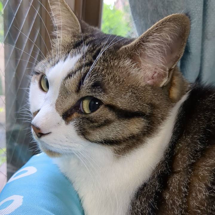 A4eb0bf4 9149 4084 a063 632baff9ca3a 1685753861150