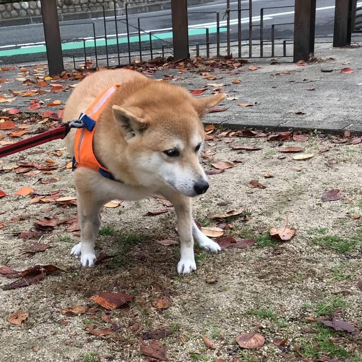 A4eb0fbb 96f7 43c1 b378 b21ad139e818 1512032788713