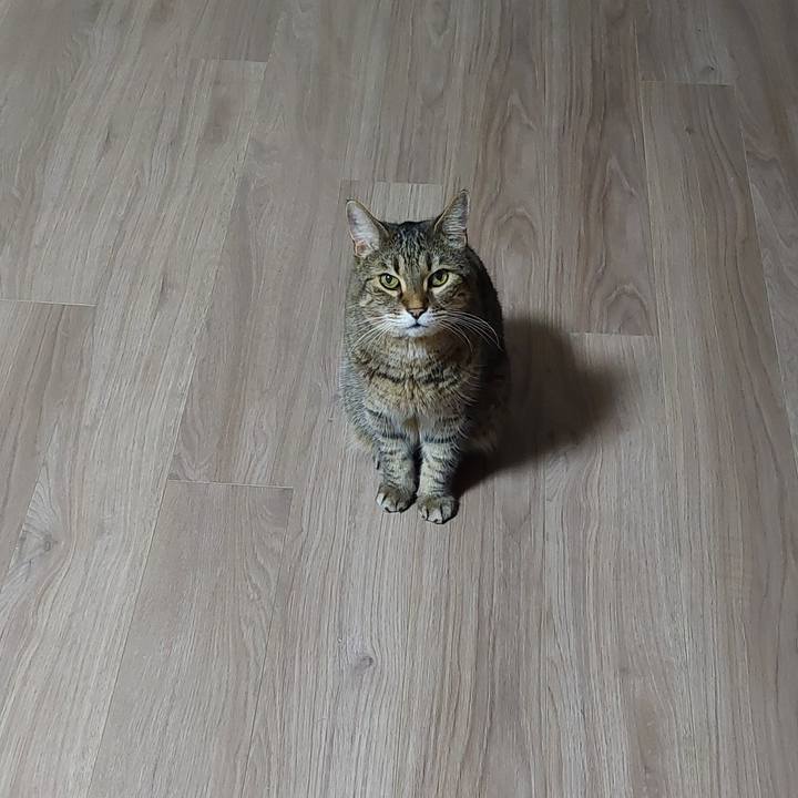 A4eb19e9 d32f 42ab b58f 1ed1a73b2643 1743110996708