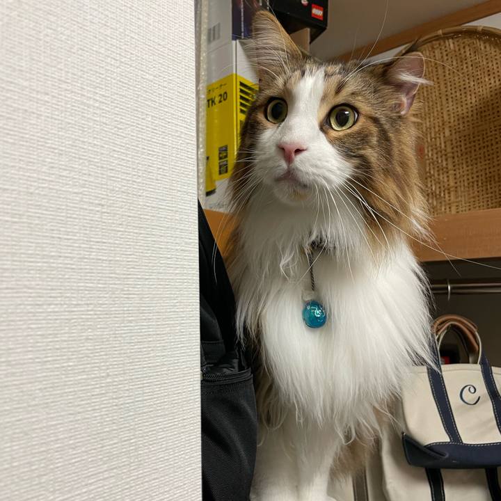 A4eb62db ed3a 4172 8b77 64afe34528ef 1712864248113