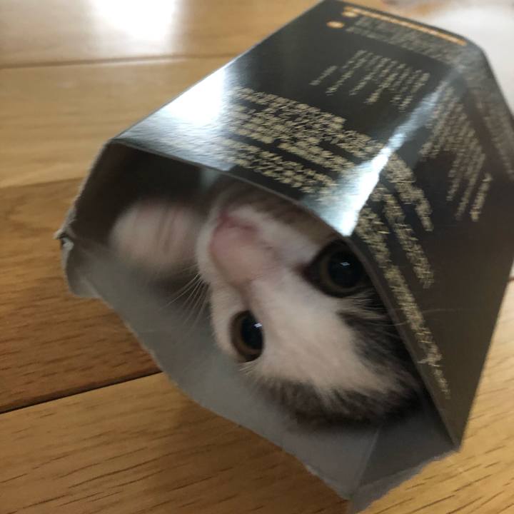 A4eb6bb6 7aff 4964 be2b 9a1b952bbdf8 1562141222357