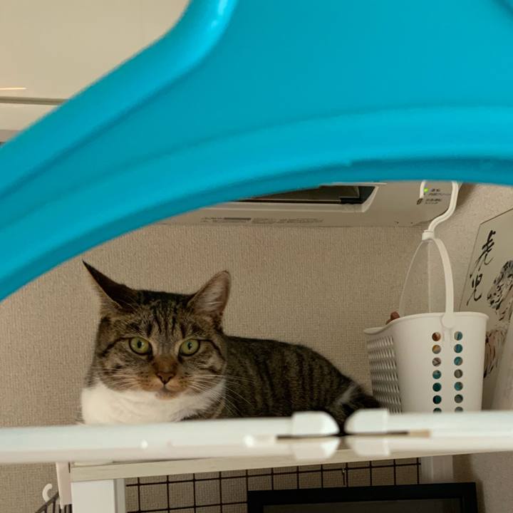 A4eb8f52 7cbc 499d 9bec 9a18ddbb5680 1688682905892