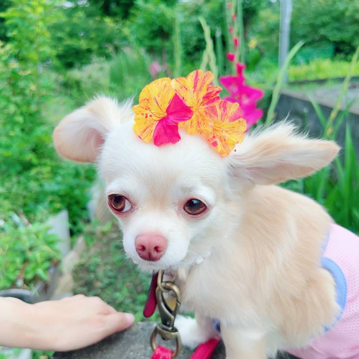 A4ebb8b1 727e 4a41 b43c a5efc7a0239f 1687951226135