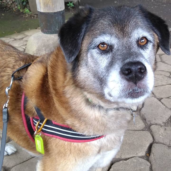 A4ebbd5b 9c7d 4a66 94c5 03f641df520e 1562718014541