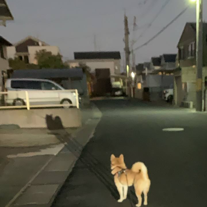 A4ebd3d6 b1aa 48ae b96c f5e2c82de6ab 1605392175365