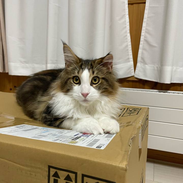 A4ebee14 2a4a 4659 a2a6 33a86d2c7a9f 1638272293851