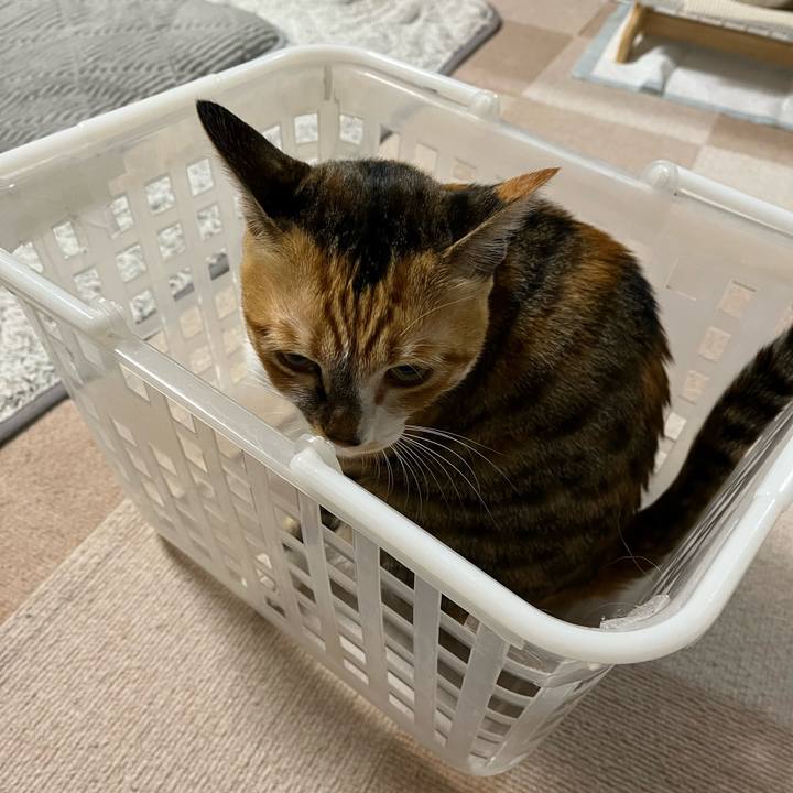 A4ec134b afdc 46f1 959d 26e6200c3571 1673136708787