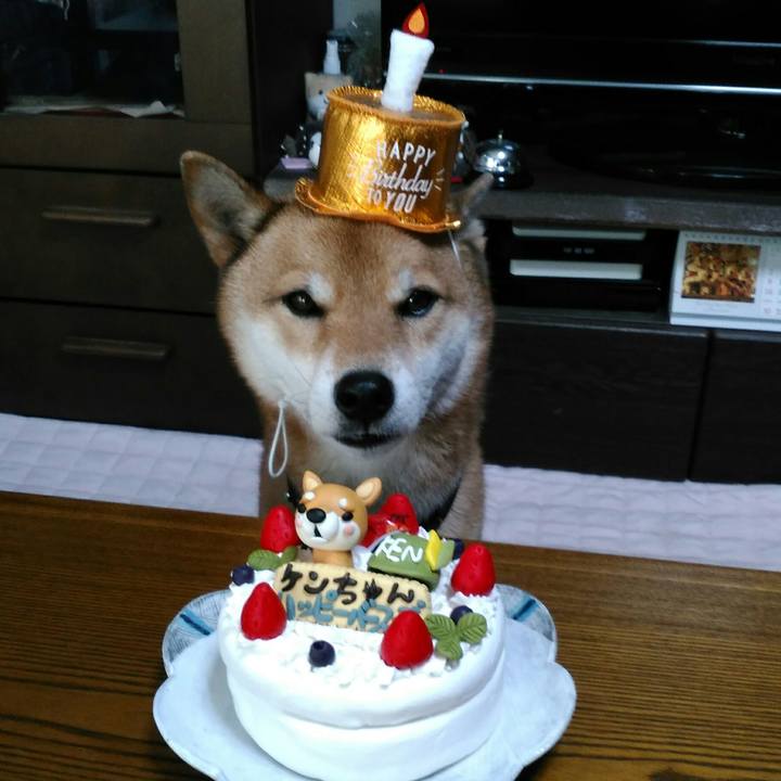 A4ec7bda e1ff 4c8b 8557 265979df3121 1544315461595