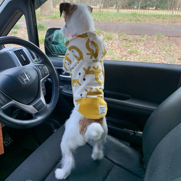 A4ec88fe fd92 48a8 8c27 711326b0d32f 1616240257850