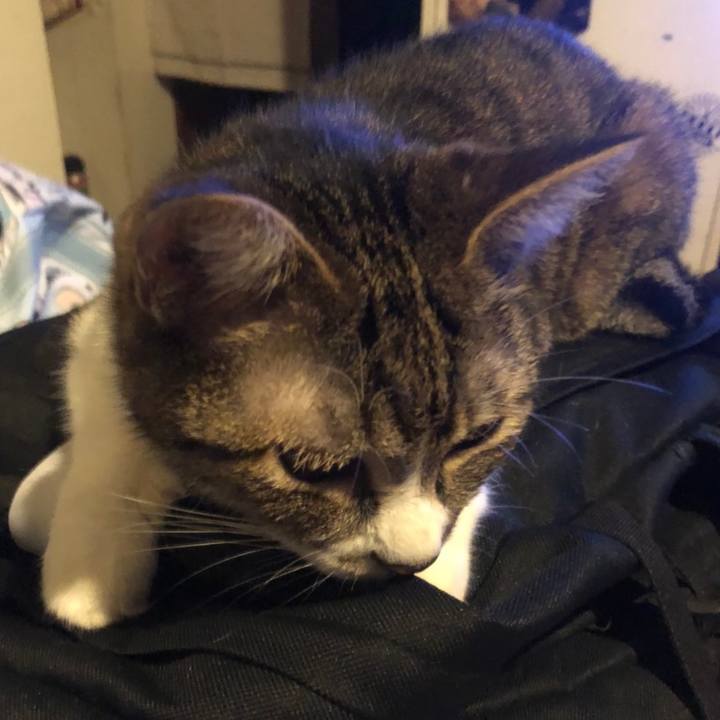 A4ecdd33 ecbe 4aec 971d 8b8a27ae4af4 1596288056196