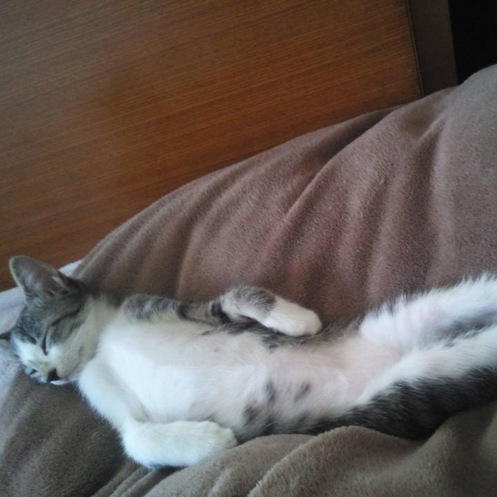 A4ed0710 6a6a 45c7 8e9a 0cae013f5b86 1604408952537