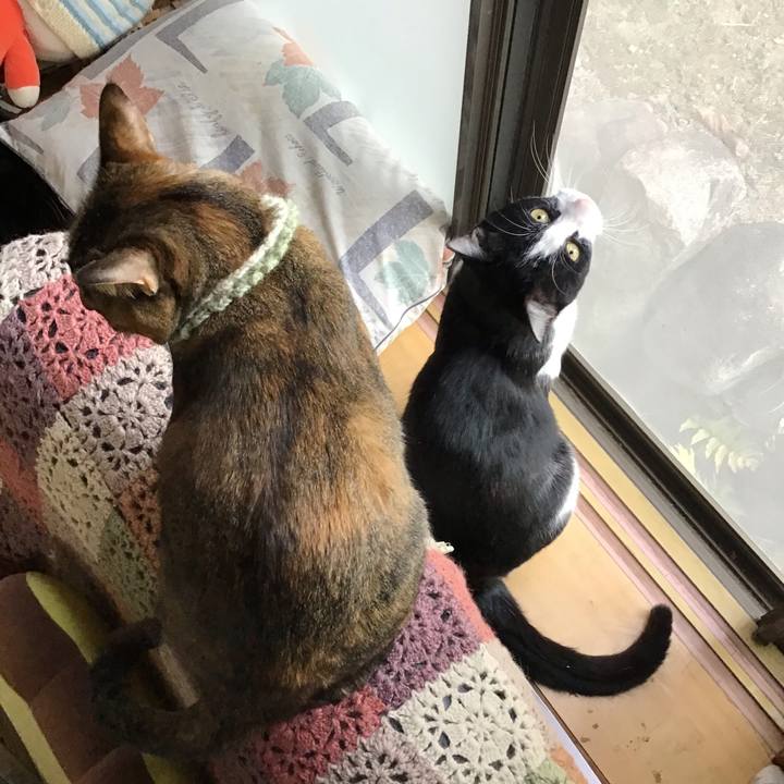 A4ed855d 5136 46e6 9173 e02f0f4d966f 1646641733302