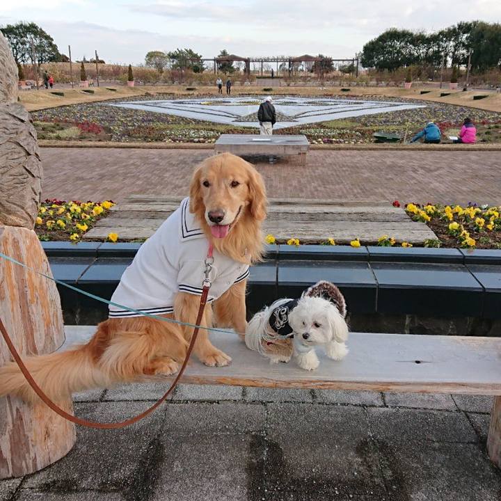 A4ed9889 b964 4687 8e2e c07ccdcfb741 1578964905878