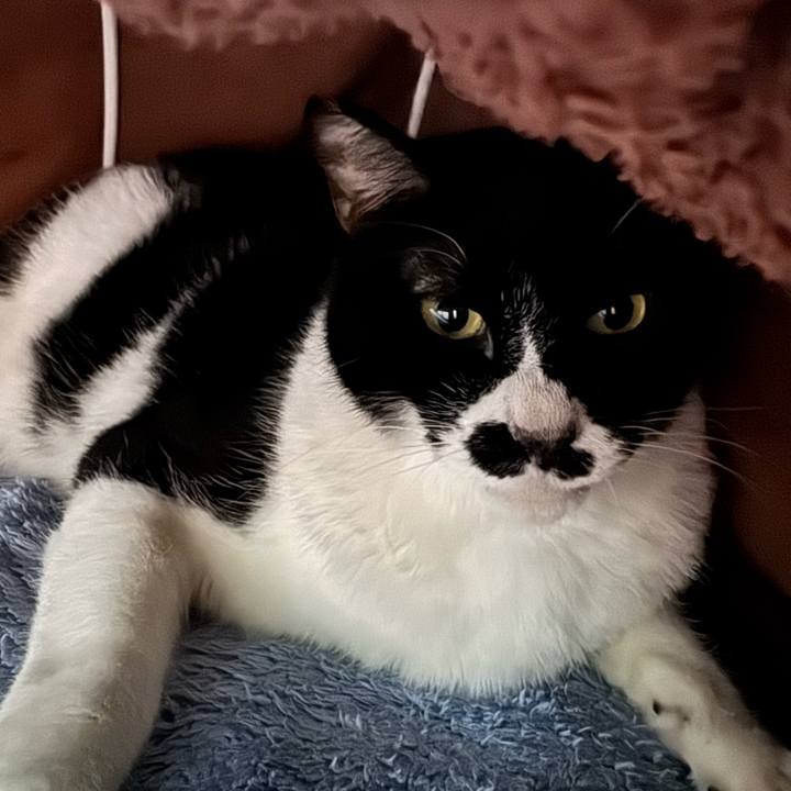 A4edb093 09dc 4c83 bfa7 221c98f75e44 1738713576324