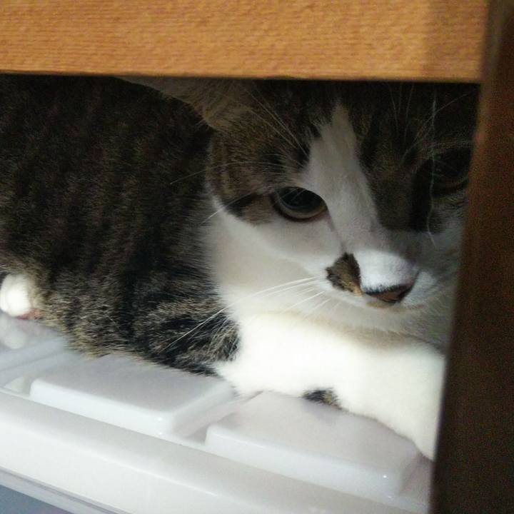 A4edcc83 88ed 4131 bc7a 425898860310 1633648080090