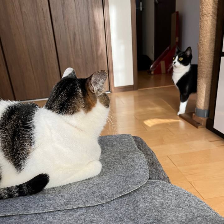 A4edd490 5164 47bd 8603 915e5504d325 1643761582405