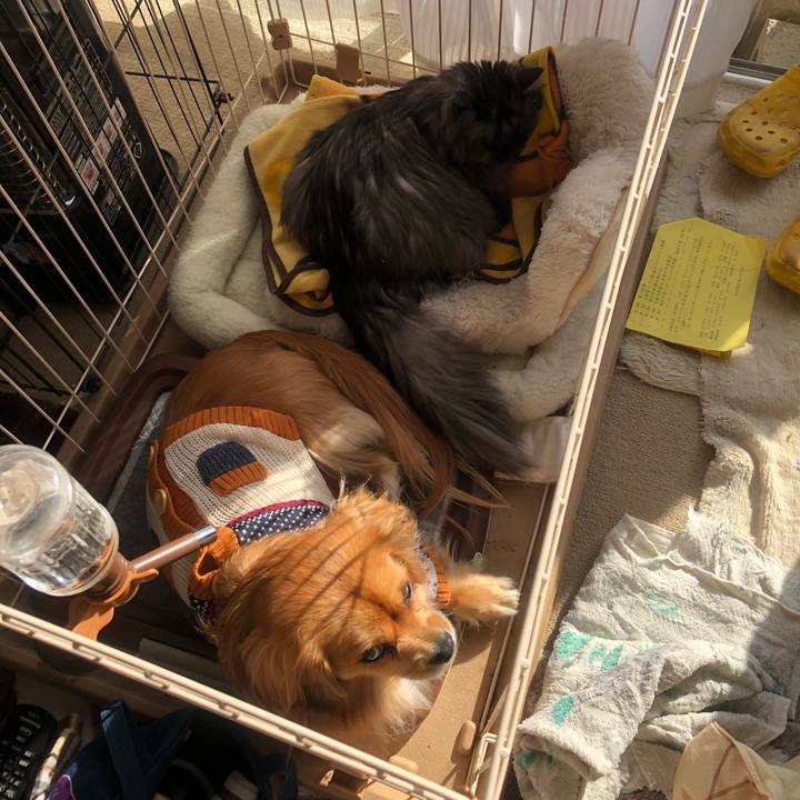 A4eded05 9098 4beb b0fb 43ed420db07d 1544925861273