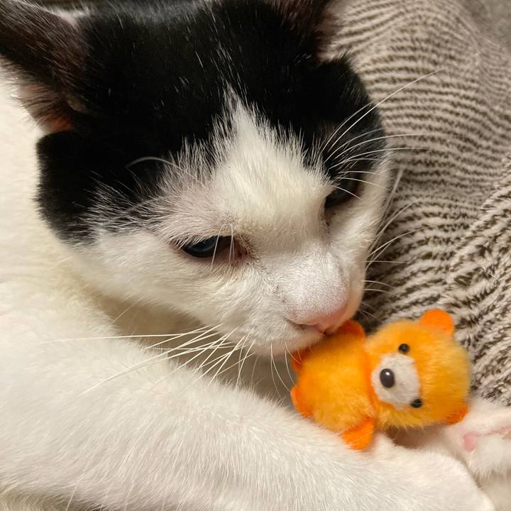 A4ee068d 5ca6 4b27 acfa e346f0c6c396 1576583452231