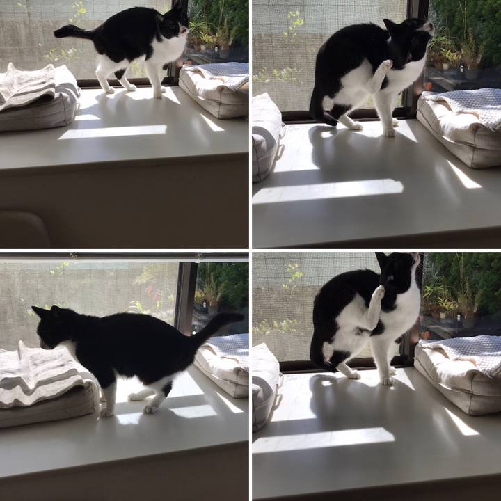 A4ee1ad7 aad6 467a 8be3 431d8b2ccd06 1508922011983