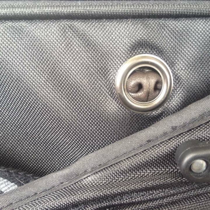 A4ee4d6f 8269 43ba bf16 bf4049ef0345 1511051269438