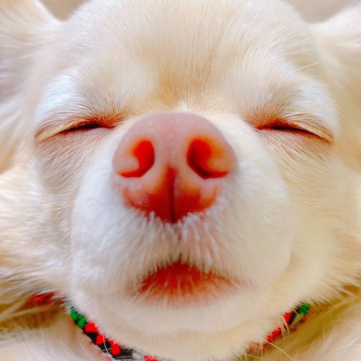 A4ee6866 da57 4220 b9ce fcd7226e2740 1644918806495