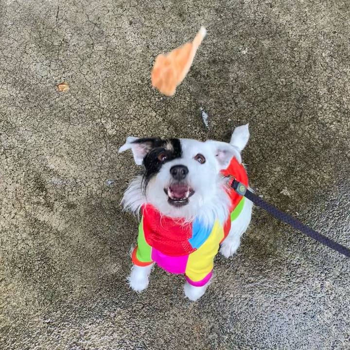 A4ee9723 fc07 45d1 82af 2e6e294b7bb5 1685759763749