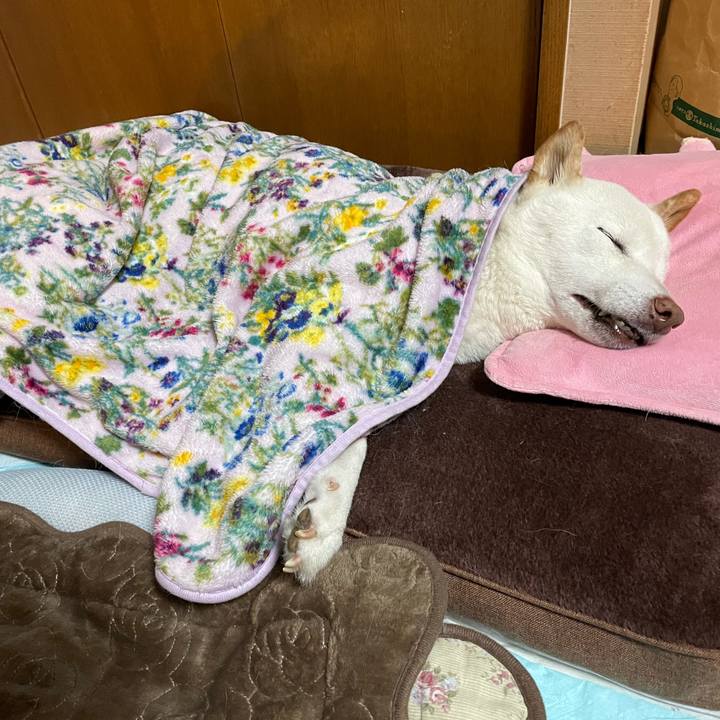 A4eea971 d915 46d3 8a27 274e4b46bd2e 1638543742094