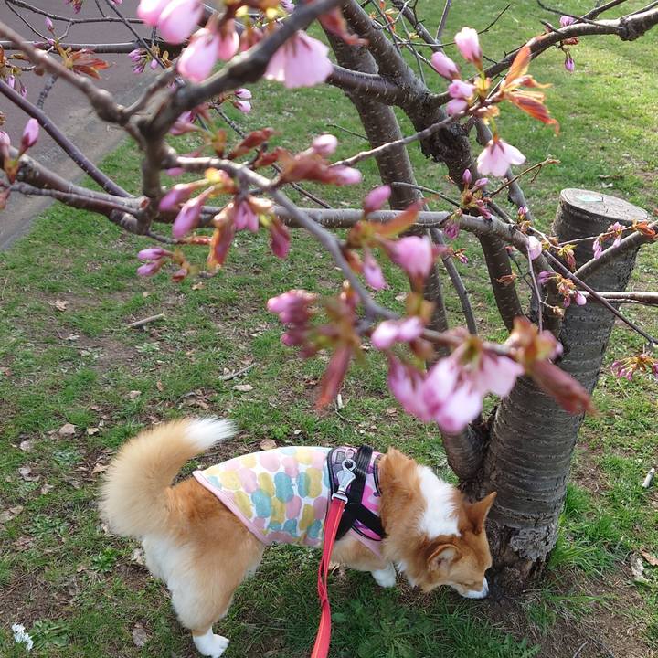 A4eeaed0 a198 4d30 bc68 ee2c714ab368 1776642317595