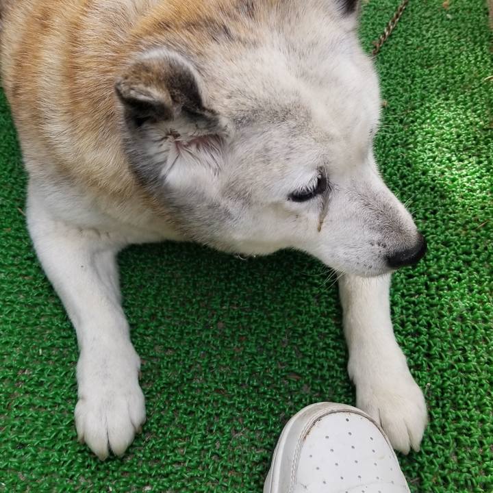 A4eec230 b384 4283 b899 1c61bcf39884 1747610940361