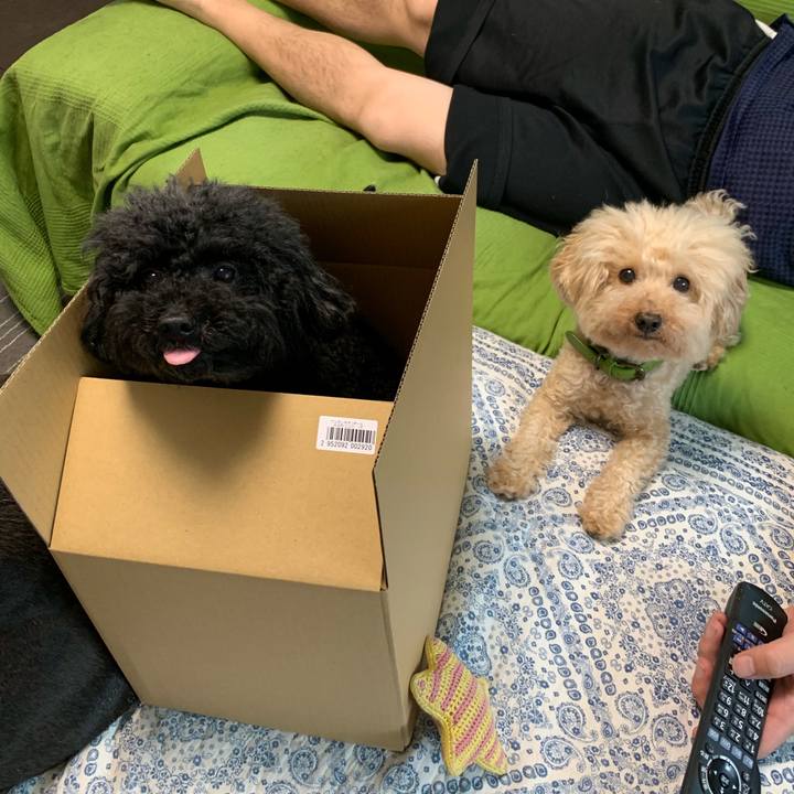 A4eeca9a 8644 434a 87be 456812f3f0a2 1563688254738