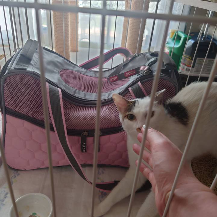 A4eed791 d28d 4c1b 9306 e1406be224d0 1688698462384