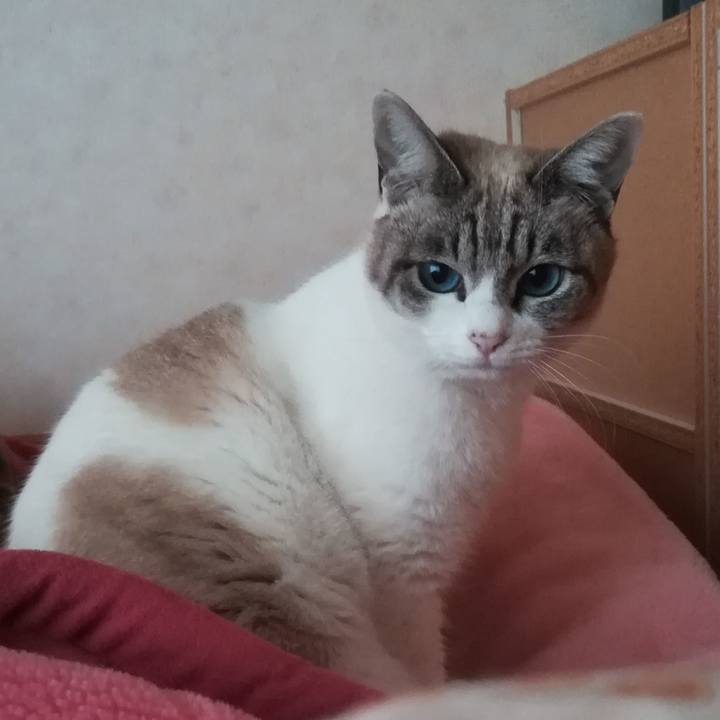 A4ef03f4 5a9e 4a00 a0f0 e8fa86521d5e 1547359844488