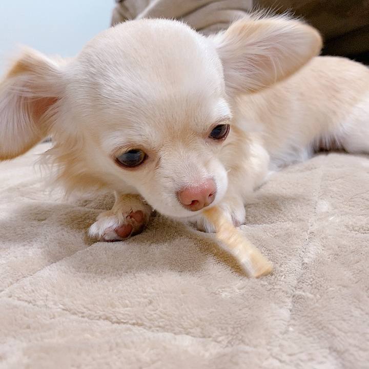 A4ef1f00 5369 4d89 be4a 2db968c5922f 1616043274404