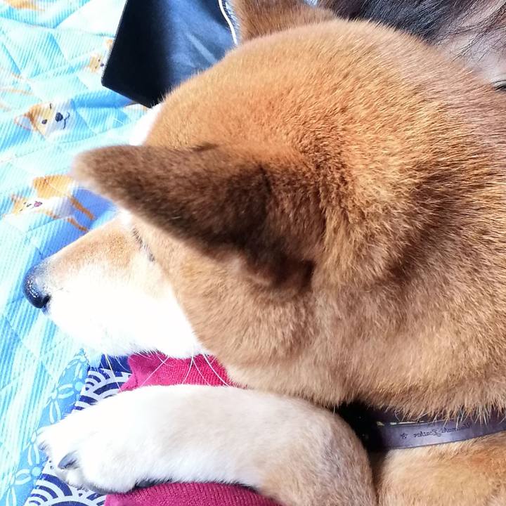 A4ef217b 6c43 44d8 a8bc 8299263e0a5d 1608872378416