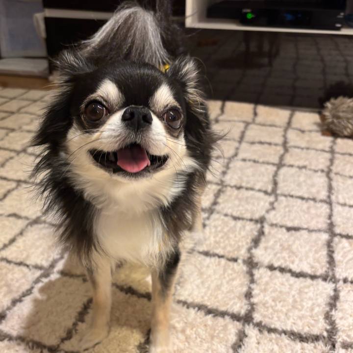 A4ef28b0 8162 4be1 9cb1 9ae804abd39a 1738512308012