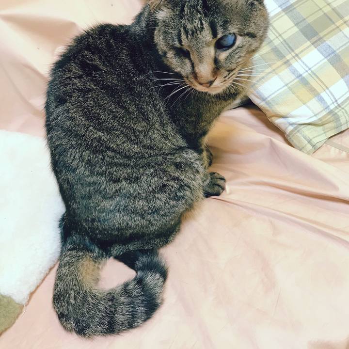 A4ef45db 12e4 4e9a b47c 86c4c71d3766 1521510157032