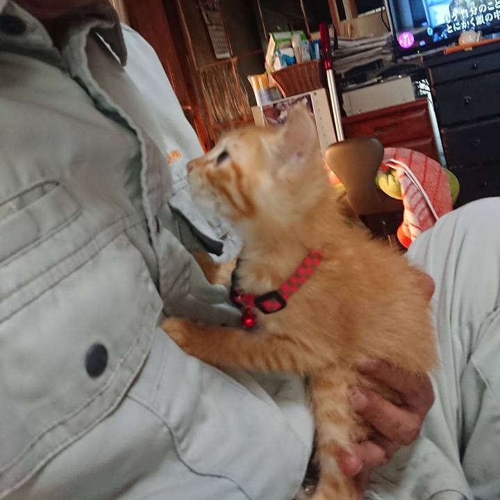 A4ef48d8 ab09 4685 8462 7c3dd1924349 1628199135523