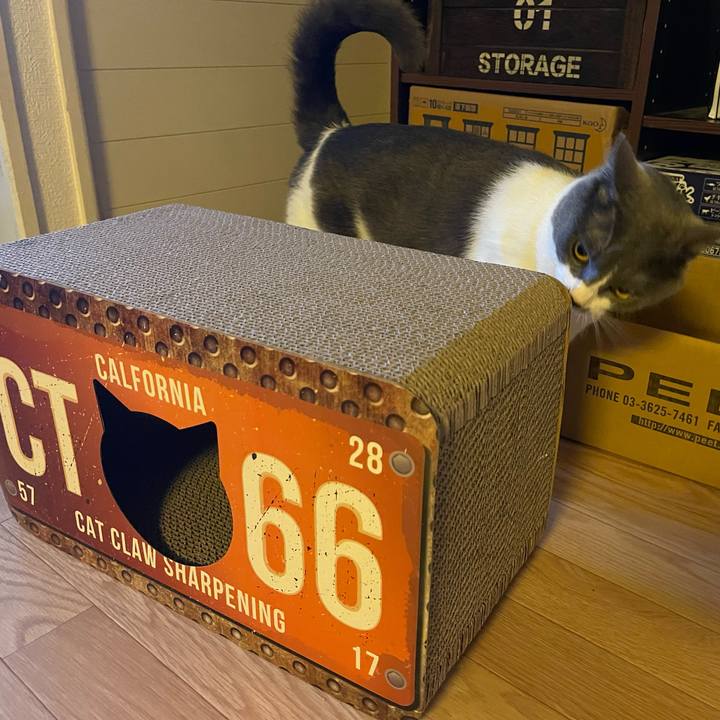 A4ef64a2 4c39 4afe 9a1e 15513aa382ad 1662363748635