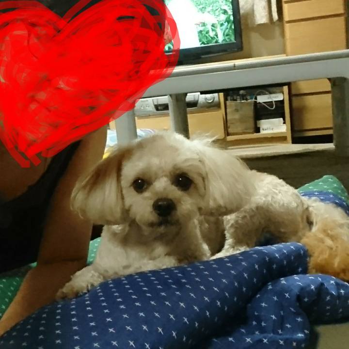 A4ef6b8f 9c71 4a43 b006 479febbc978b 1533553991451