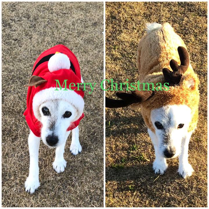 A4ef82a3 c3c2 4d3e 89de e0539070a389 1640312409109