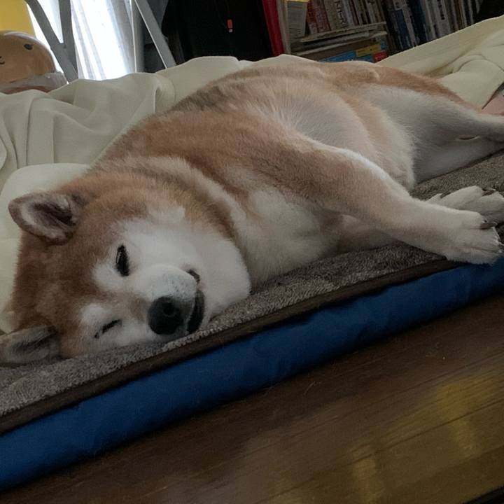 A4ef92e1 346b 4c68 8702 926ff9aae3ed 1571638041351