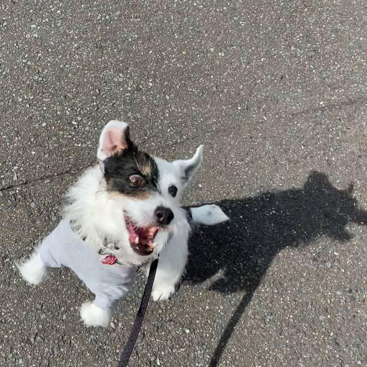 A4f00620 6576 413a 9340 21d93dbe54a3 1686181660876